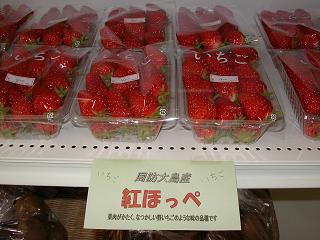img20060311.jpg