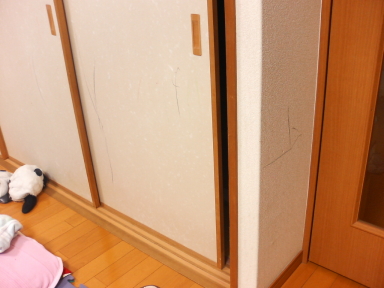 P1000103.jpg