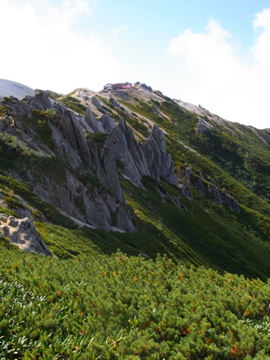 rimg0607.jpg
