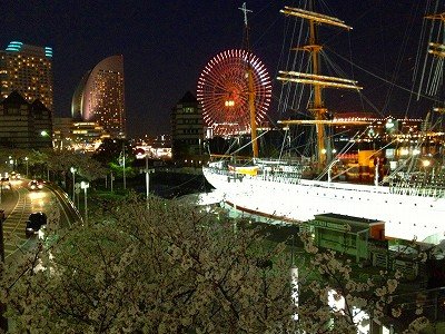 sakura