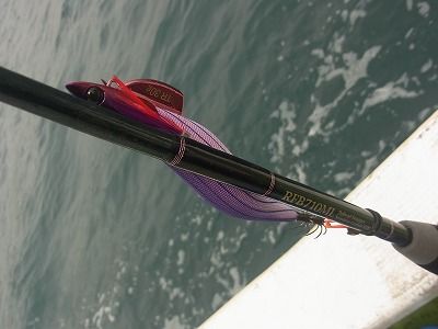 TR