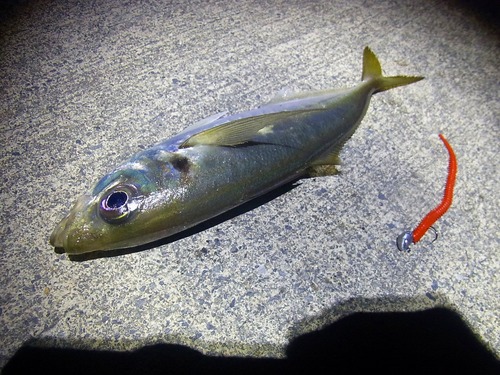 aji