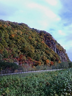 img20071021_5.bmp