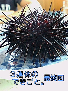 img20080827.bmp