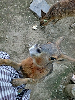 img20080728_7.bmp