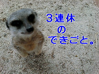 img20080728.bmp