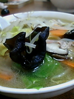 img20080626_1.bmp