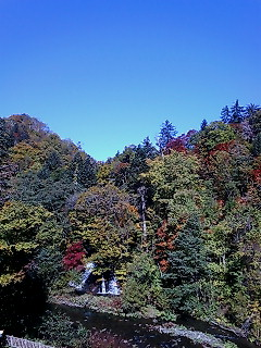 img20071021_3.bmp