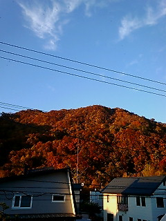 img20071028_5.bmp