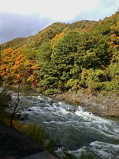 img20071021_7.bmp