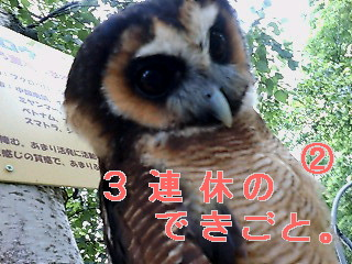 img20080806.bmp