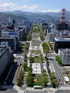 img20080516_5.bmp