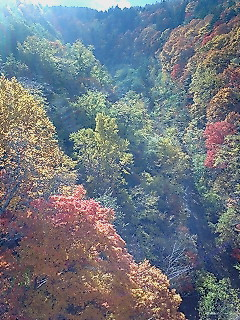 img20071028_4.bmp