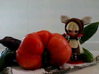 img20080823_1.bmp
