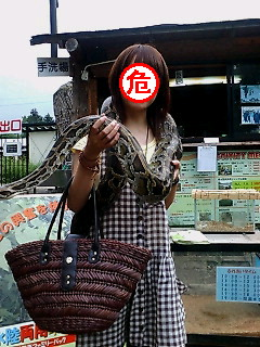 img20080806_6.bmp