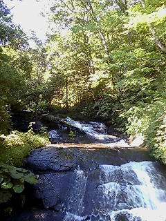 img20070825.jpg