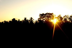 bali3