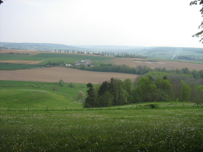 img_8730_2_1.jpg