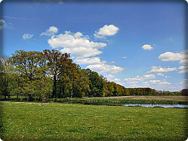 DSCN0537