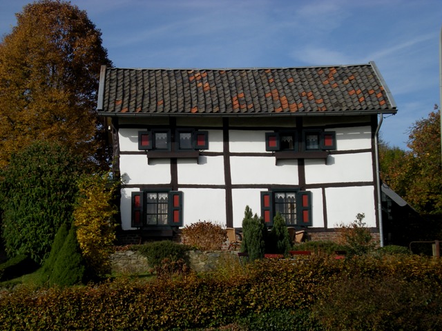 img20091029_6.jpg