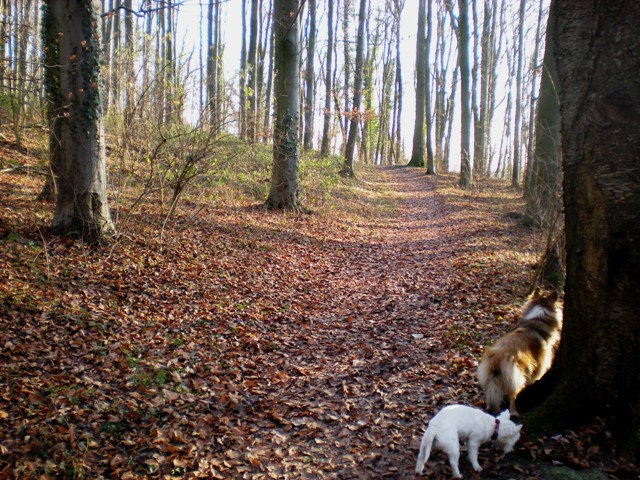 img20091216_4.jpg