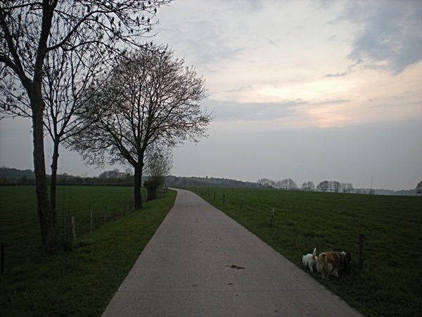 4-14 018