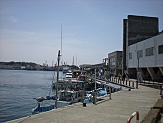 5-6 032