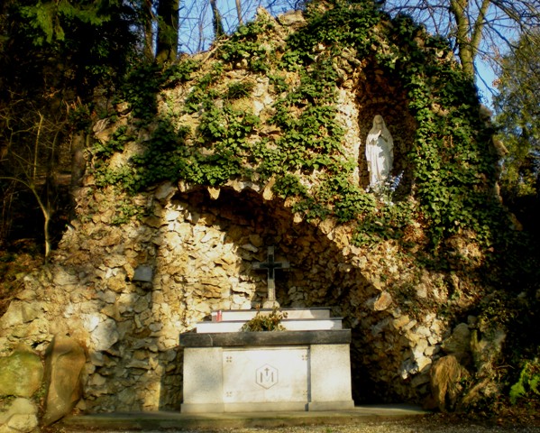 img20091216_5.jpg