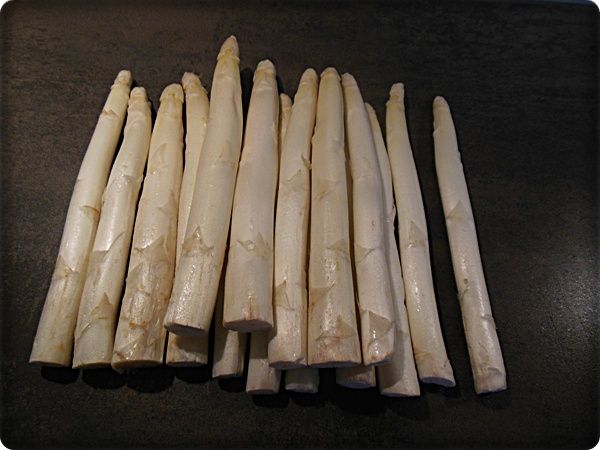 3-20 009
