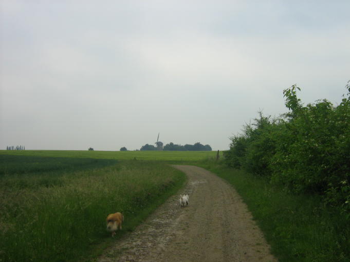 img_2955_1_1.jpg