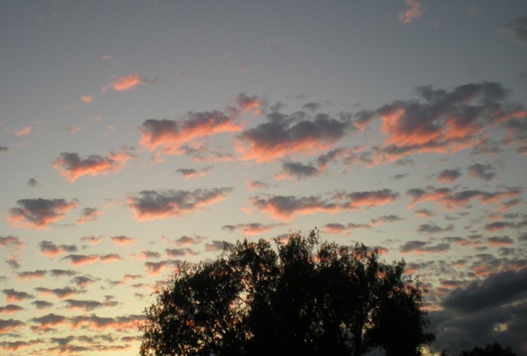 img20090828_3.jpg
