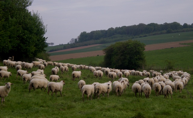 img20090501_4.jpg