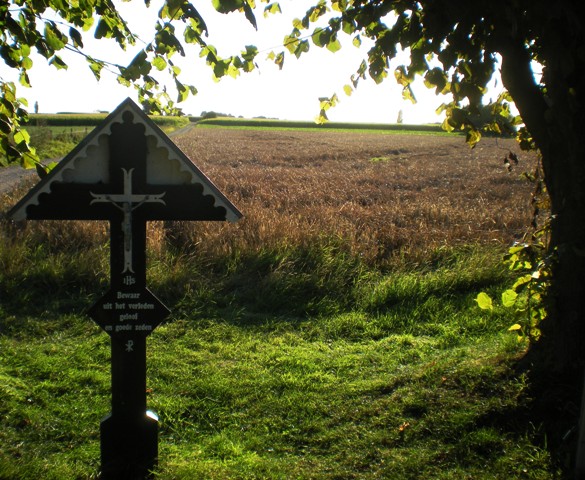 img20090901_5.jpg