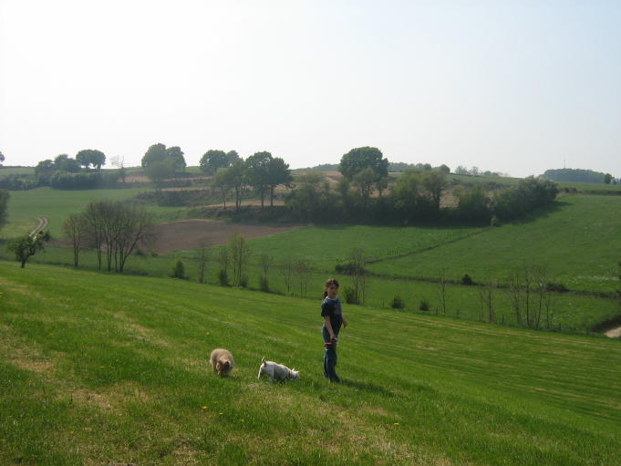 img_8796_1_1.jpg