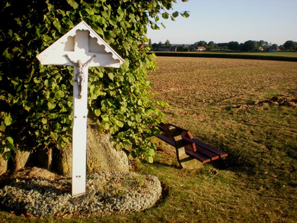 img20090901_6.jpg