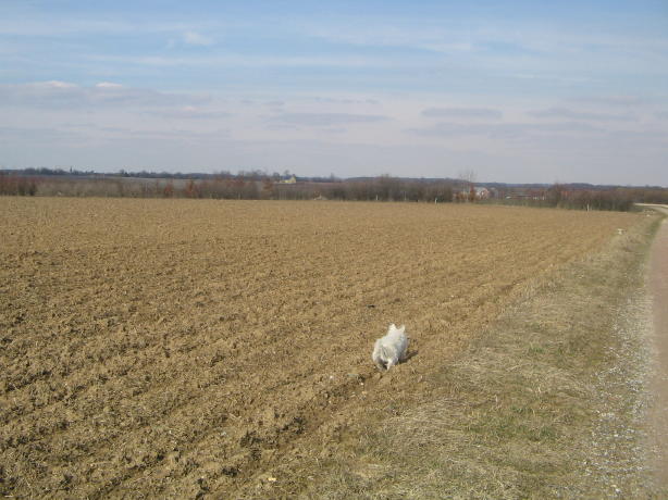 IMG_3083_1_1.jpg