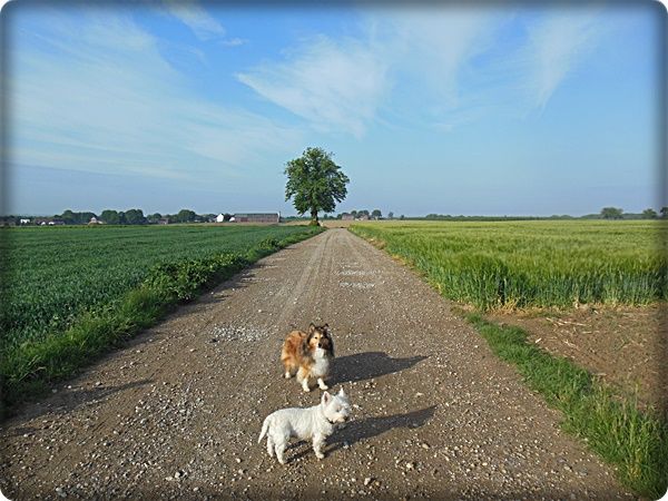 DSCN1531