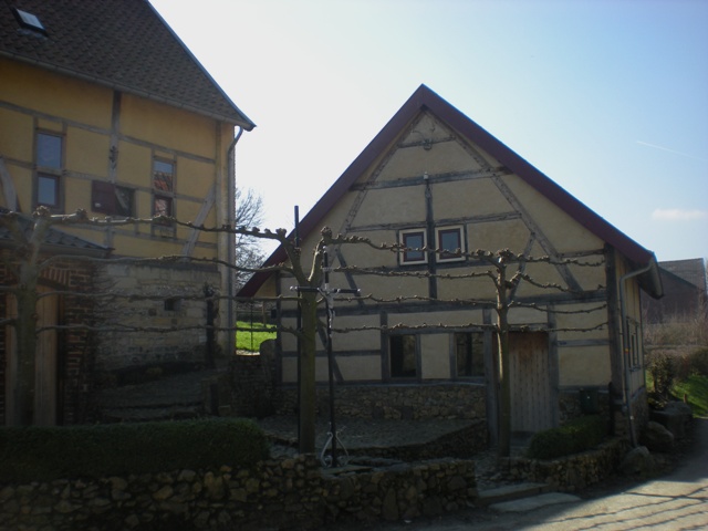img20090331_5.jpg