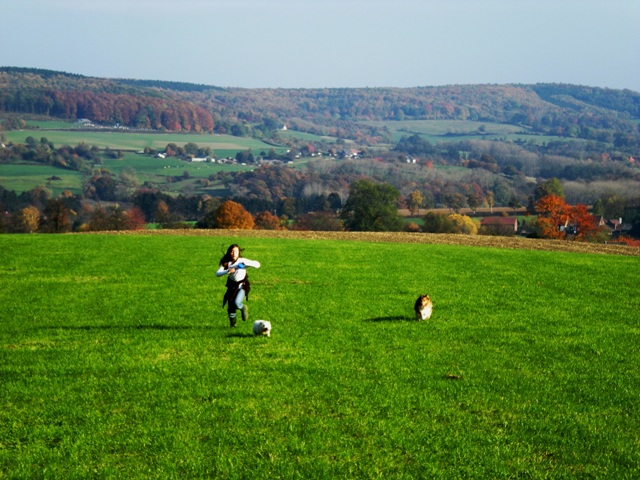 img20091031_1.jpg