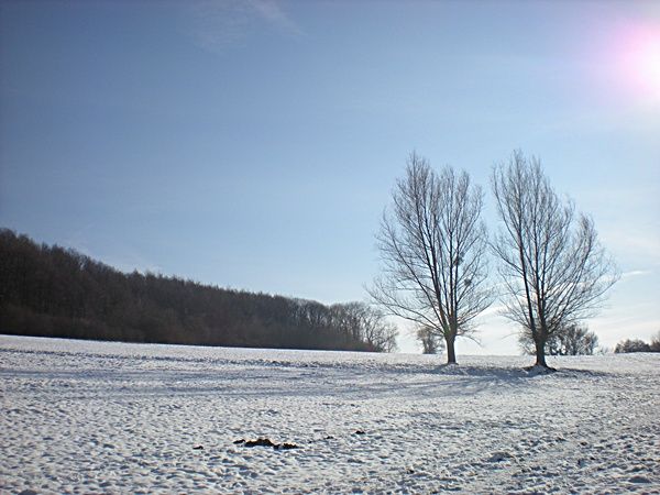 2-5 014