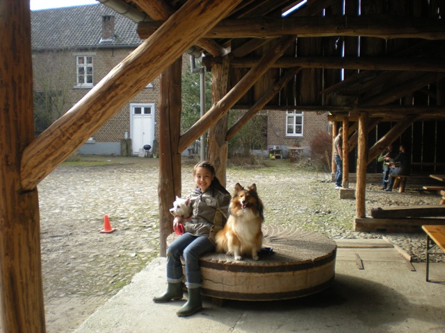img20090301_8.jpg