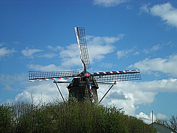 4-11 023