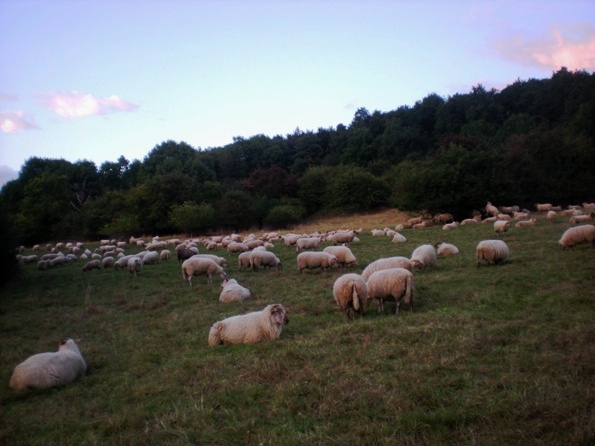 img20090828_5.jpg