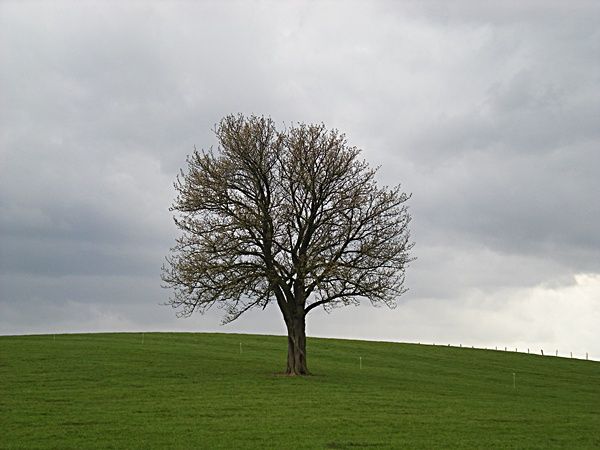 4-7 020