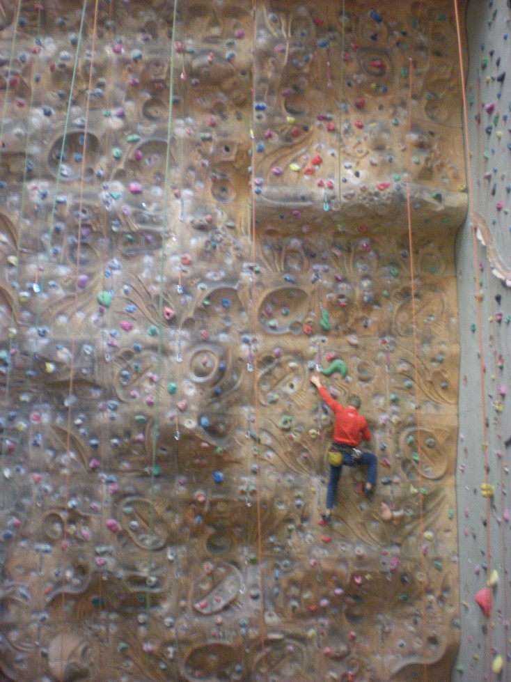 img20090126_7.jpg