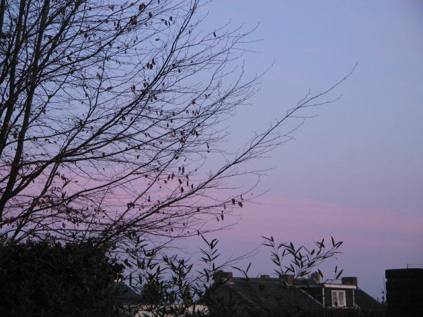 IMG_2088_3_1.jpg