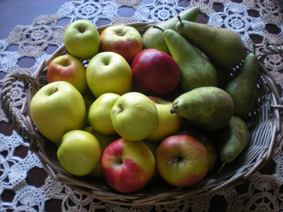 img20090131_5.jpg