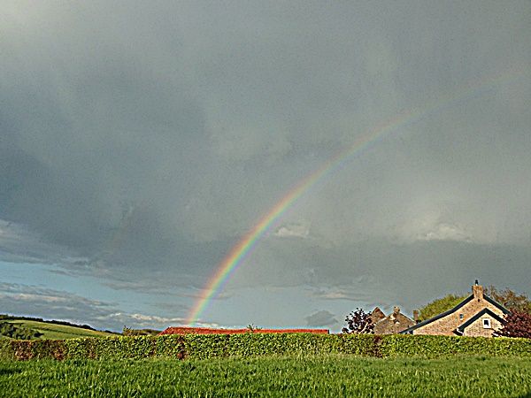 DSCN1442
