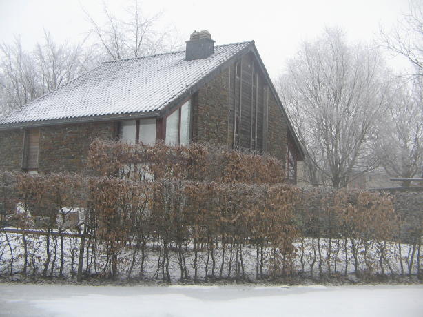 IMG_2727_4_1.jpg