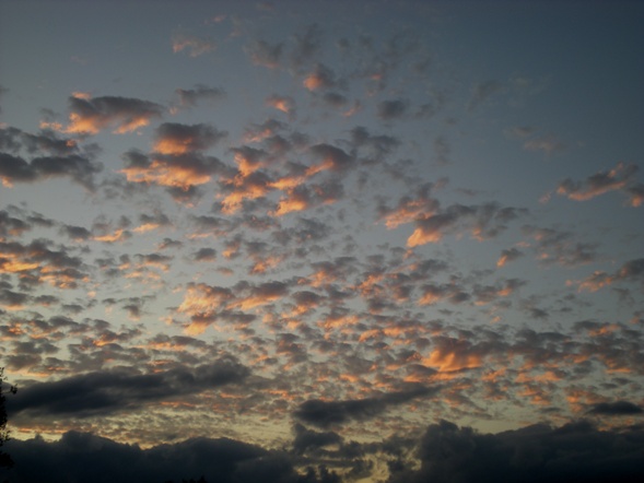 img20090828_4.jpg